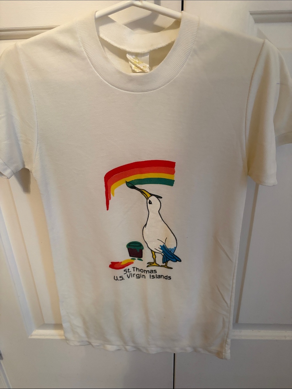 Rainbow and Sea Gull Tee Shirt